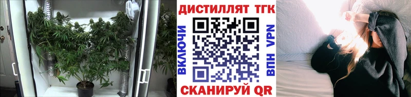 Купить  Ковдор  Дистиллят ТГК вейп с тгк 